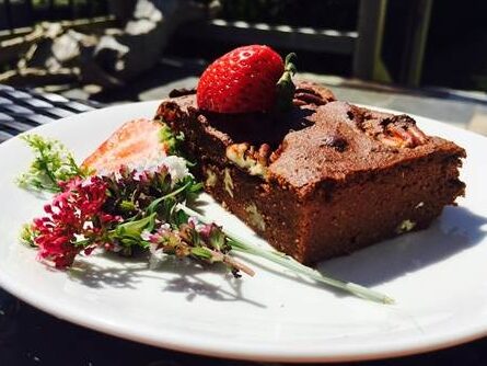 Recipe: Dr Nilu’s Chocolate Pecan Slice